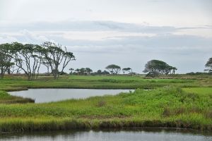 Kiawah Island (Ocean) 3rd 2026